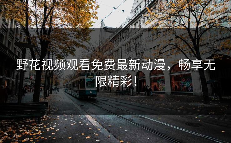 野花视频观看免费最新动漫，畅享无限精彩！