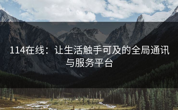 114在线：让生活触手可及的全局通讯与服务平台