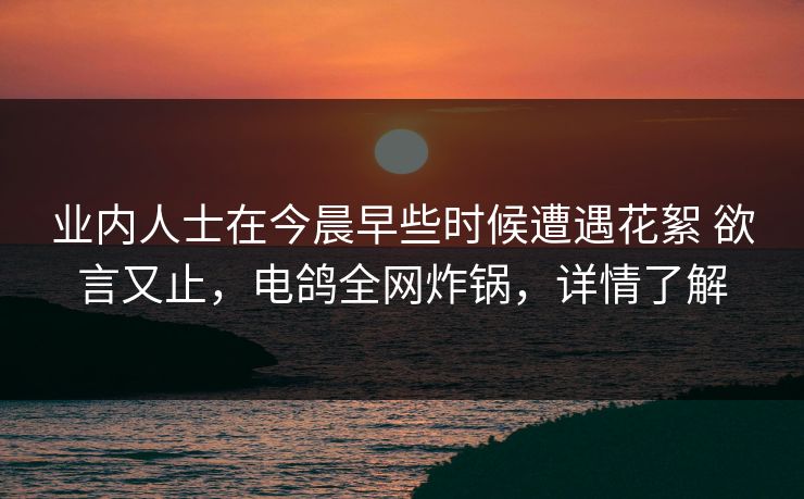 业内人士在今晨早些时候遭遇花絮 欲言又止，电鸽全网炸锅，详情了解